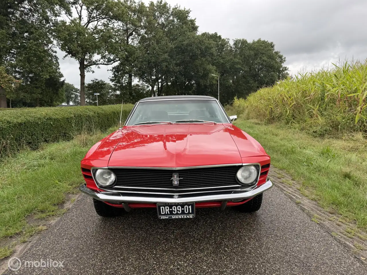 Ford Mustang USA 4.9 V8 Grande, foto 6