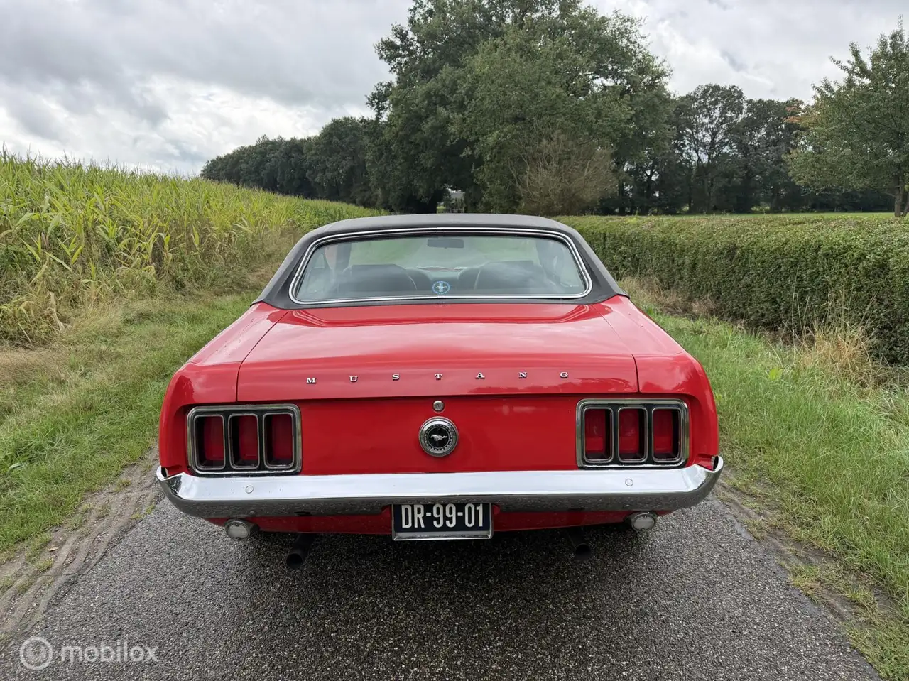 Ford Mustang USA 4.9 V8 Grande, foto 3