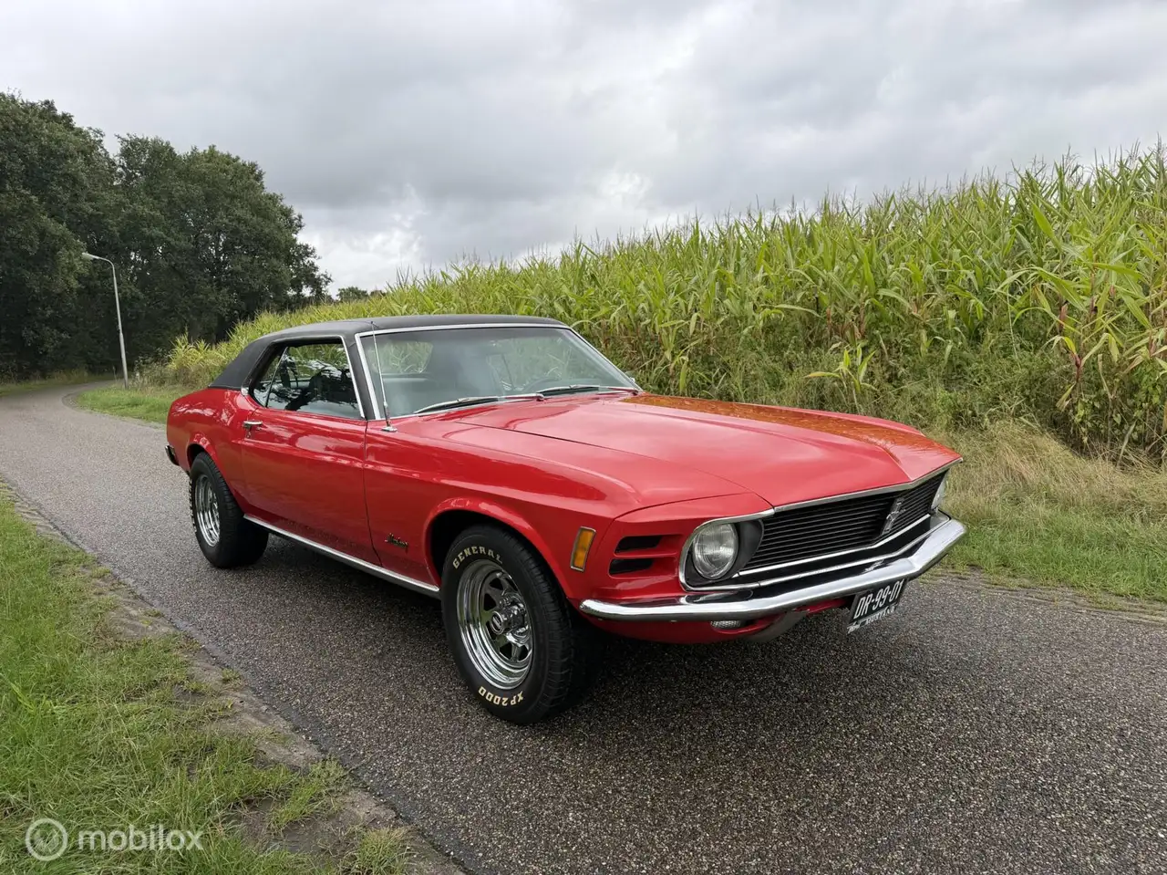 Ford Mustang USA 4.9 V8 Grande, foto 5