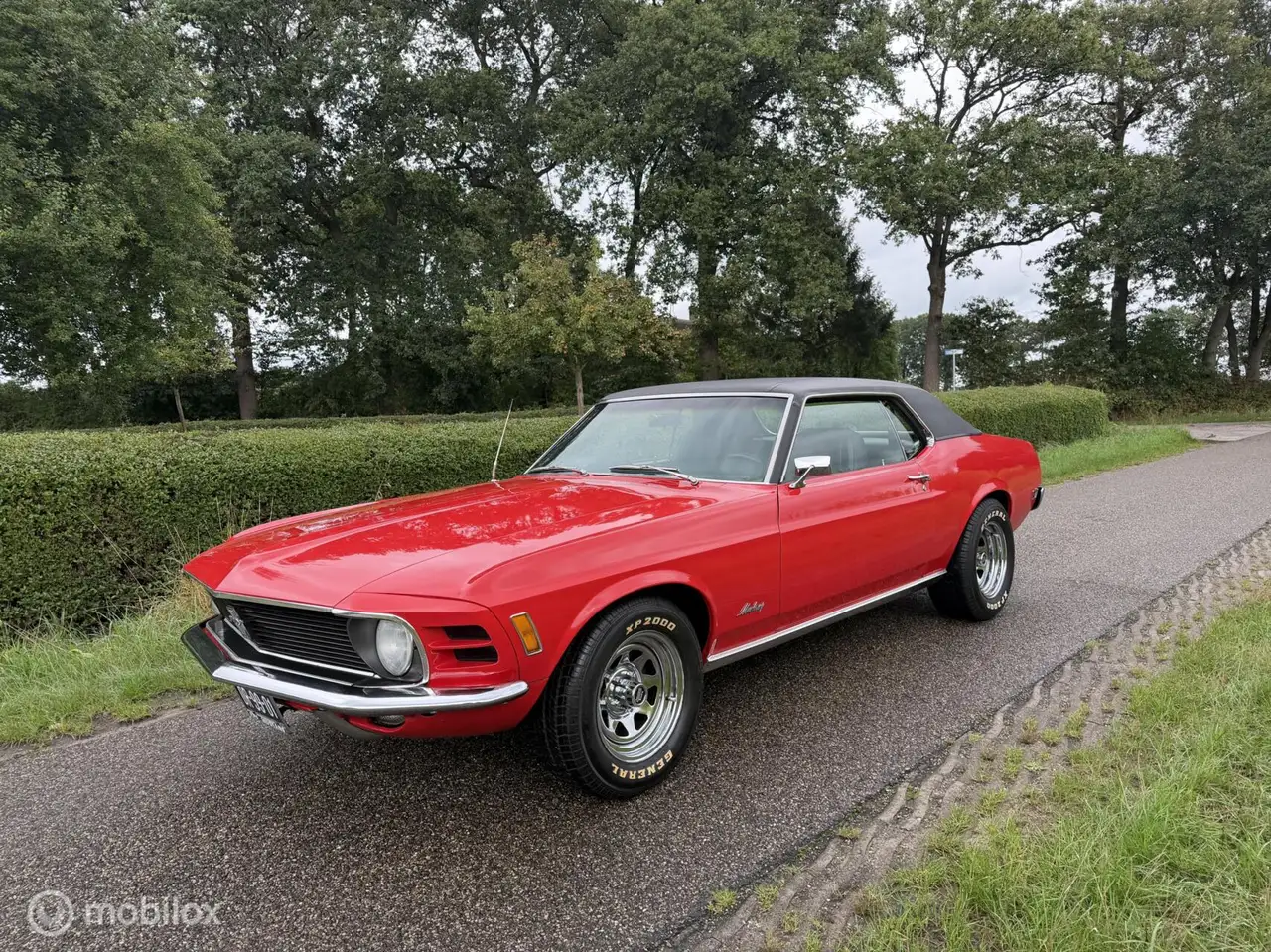 Ford Mustang USA 4.9 V8 Grande, foto 1