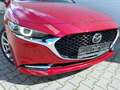 Mazda 3 Lim. Selection (Head-Up/Kamera/Nur 8.610 km) Rouge - thumbnail 5