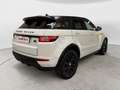 Land Rover Range Rover Evoque 2.0 td4 Autobiography 180 cv auto 5P Weiß - thumbnail 5