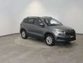 Skoda Karoq 4x4 Selection TDI DSG Grau - thumbnail 7