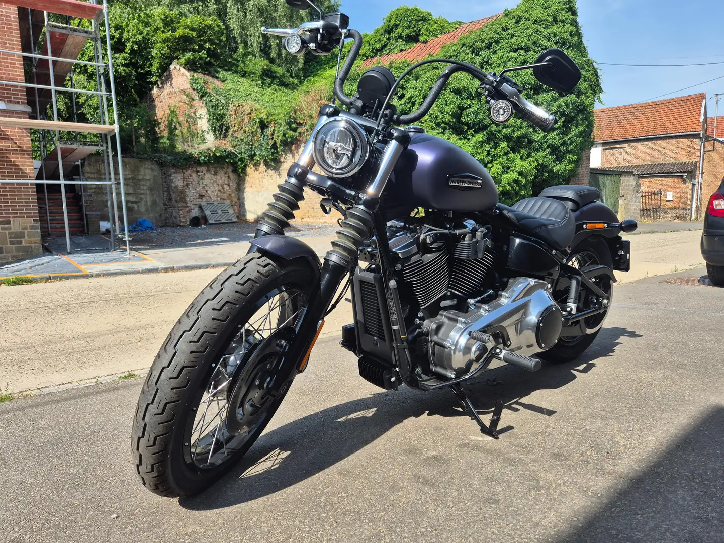 Harley-Davidson Street Bob 117 ci Mauve - 2