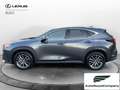 Lexus NX 300 NX Hybrid 4WD Premium UNIPRO' km 25000 Grau - thumbnail 3