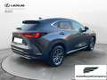 Lexus NX 300 NX Hybrid 4WD Premium UNIPRO' km 25000 Grau - thumbnail 6