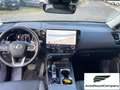 Lexus NX 300 NX Hybrid 4WD Premium UNIPRO' km 25000 Grau - thumbnail 12
