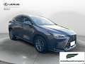 Lexus NX 300 NX Hybrid 4WD Premium UNIPRO' km 25000 Grau - thumbnail 8