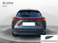 Lexus NX 300 NX Hybrid 4WD Premium UNIPRO' km 25000 Grau - thumbnail 5