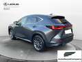 Lexus NX 300 NX Hybrid 4WD Premium UNIPRO' km 25000 Grau - thumbnail 4