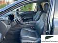 Lexus NX 300 NX Hybrid 4WD Premium UNIPRO' km 25000 Grau - thumbnail 10