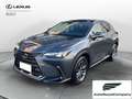 Lexus NX 300 NX Hybrid 4WD Premium UNIPRO' km 25000 Grau - thumbnail 1