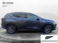 Lexus NX 300 NX Hybrid 4WD Premium UNIPRO' km 25000 Grau - thumbnail 7