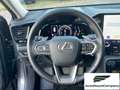 Lexus NX 300 NX Hybrid 4WD Premium UNIPRO' km 25000 Grau - thumbnail 13