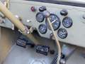 Jeep Willys MB Grün - thumbnail 13