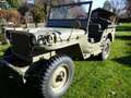 Jeep Willys MB Grün - thumbnail 1