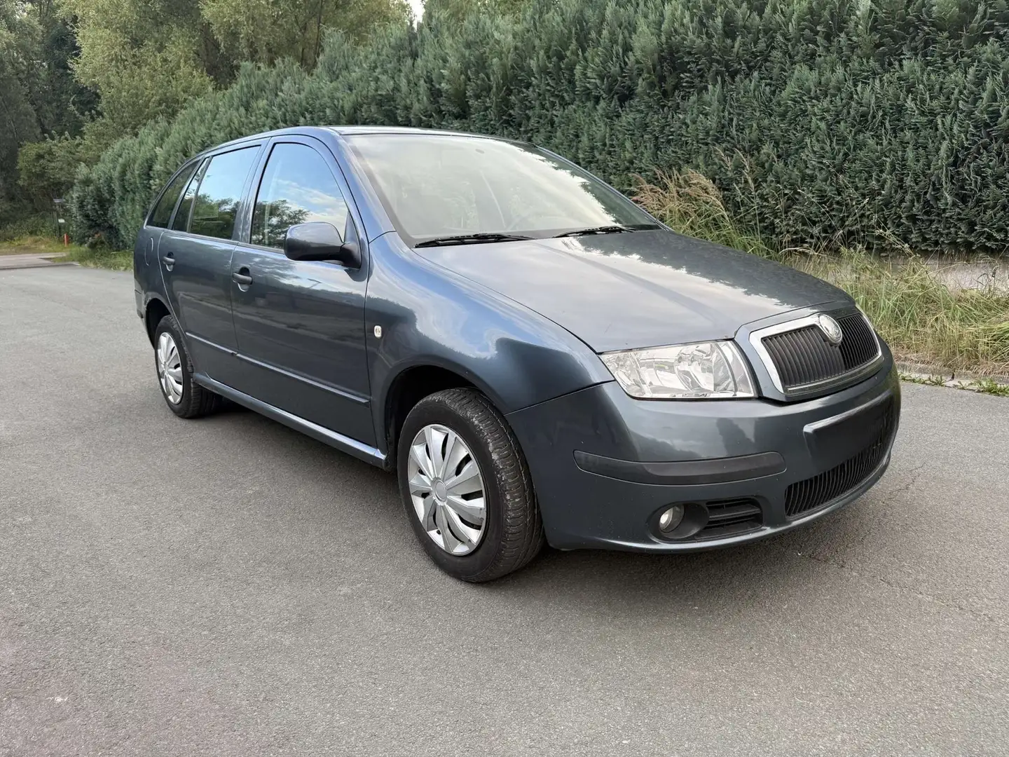 Skoda Fabia 1.2i Ambiente Grijs - 1