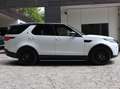 Land Rover Discovery Discovery 5 3,0 SDV6 HSE Aut. HSE Weiß - thumbnail 4