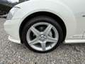 Mercedes-Benz S 350 S-Klasse S 350L CGI BlueEffici Weiß - thumbnail 9