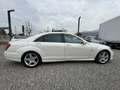 Mercedes-Benz S 350 S-Klasse S 350L CGI BlueEffici Weiß - thumbnail 8
