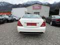 Mercedes-Benz S 350 S-Klasse S 350L CGI BlueEffici Weiß - thumbnail 6
