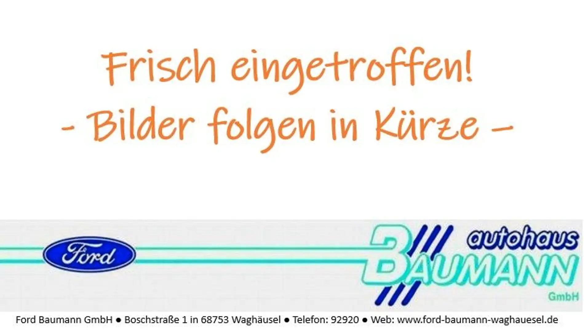 Ford EcoSport Titanium*Navi*Kamera*17" LM-Felgen* Gris - 1
