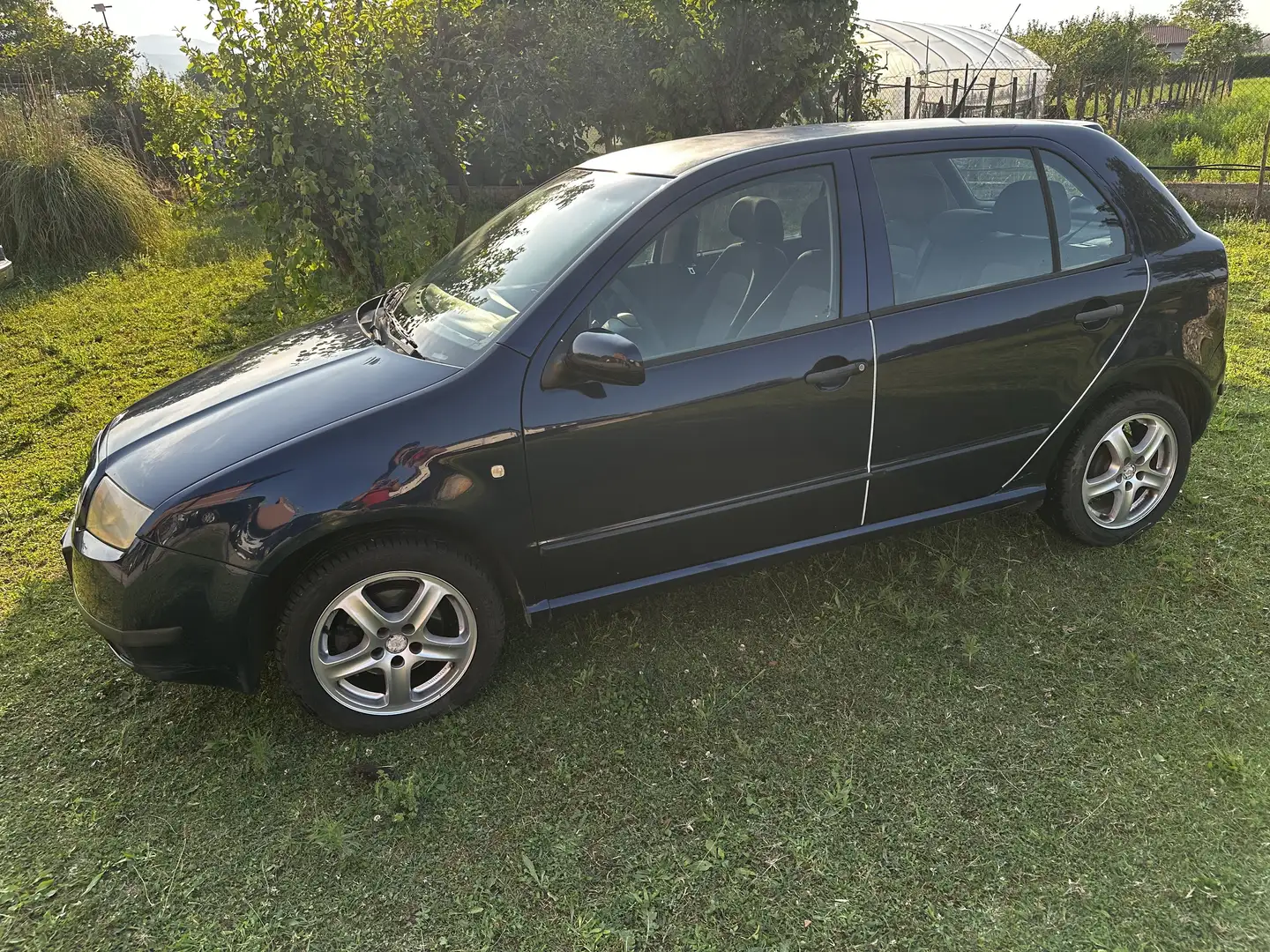 Skoda Fabia Fabia 5p 1.4 16v Comfort 75cv Blu/Azzurro - 2