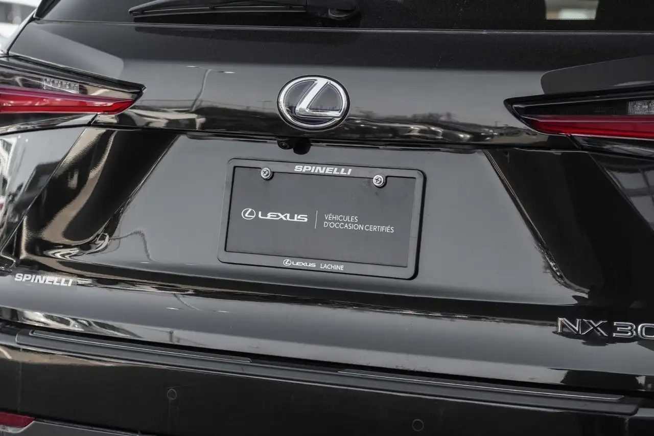 Lexus NX снимка Lexus NX