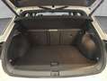 Volkswagen T-Roc 1.5 TSI ACT OPF DSG Sport Weiß - thumbnail 4