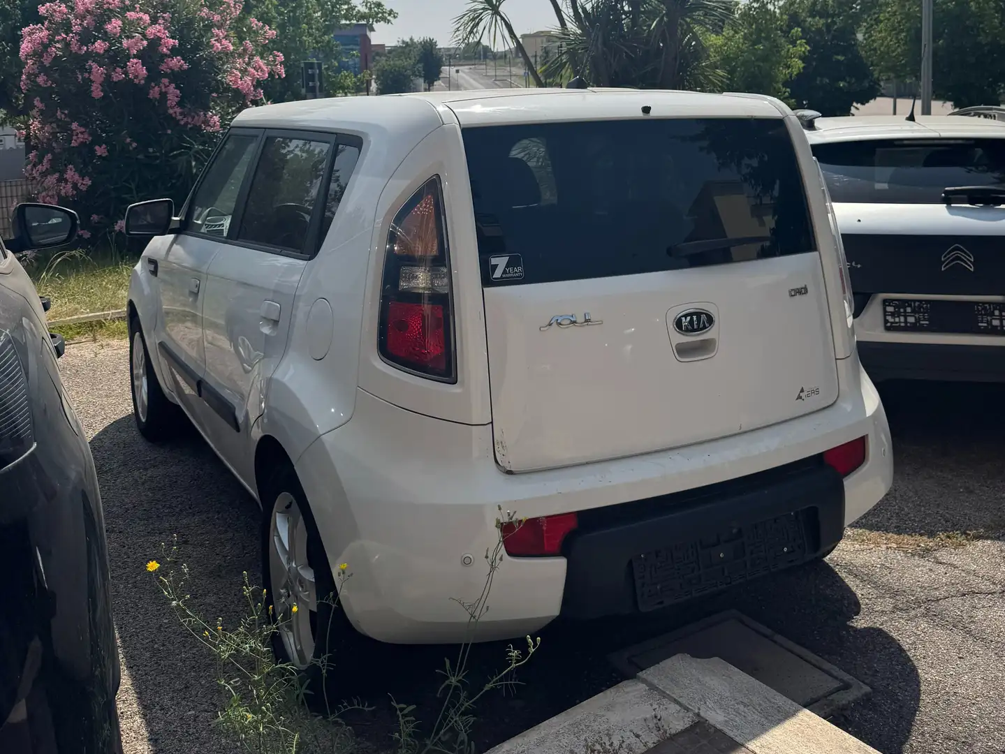 Kia Soul Soul 1.6 16V AUTO UFFICIALE IN GARANZIA Bianco - 2