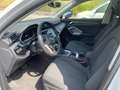 Audi Q3 Q3 II 2018 35 2.0 tdi Business Advanced s-tronic Weiß - thumbnail 9