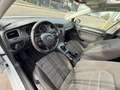 Volkswagen Golf VII 1,2 TSI Comfortline PANO FINANZIERUNG Blanc - thumbnail 11
