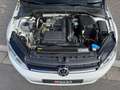 Volkswagen Golf VII 1,2 TSI Comfortline PANO FINANZIERUNG Blanc - thumbnail 20