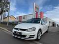 Volkswagen Golf VII 1,2 TSI Comfortline PANO FINANZIERUNG Blanc - thumbnail 1