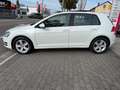 Volkswagen Golf VII 1,2 TSI Comfortline PANO FINANZIERUNG Blanc - thumbnail 8