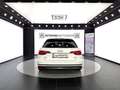 Audi A4 Avant 2.0 TDI quattro S-tronic *S-LINE*MATRIX*ACC* Weiß - thumbnail 5