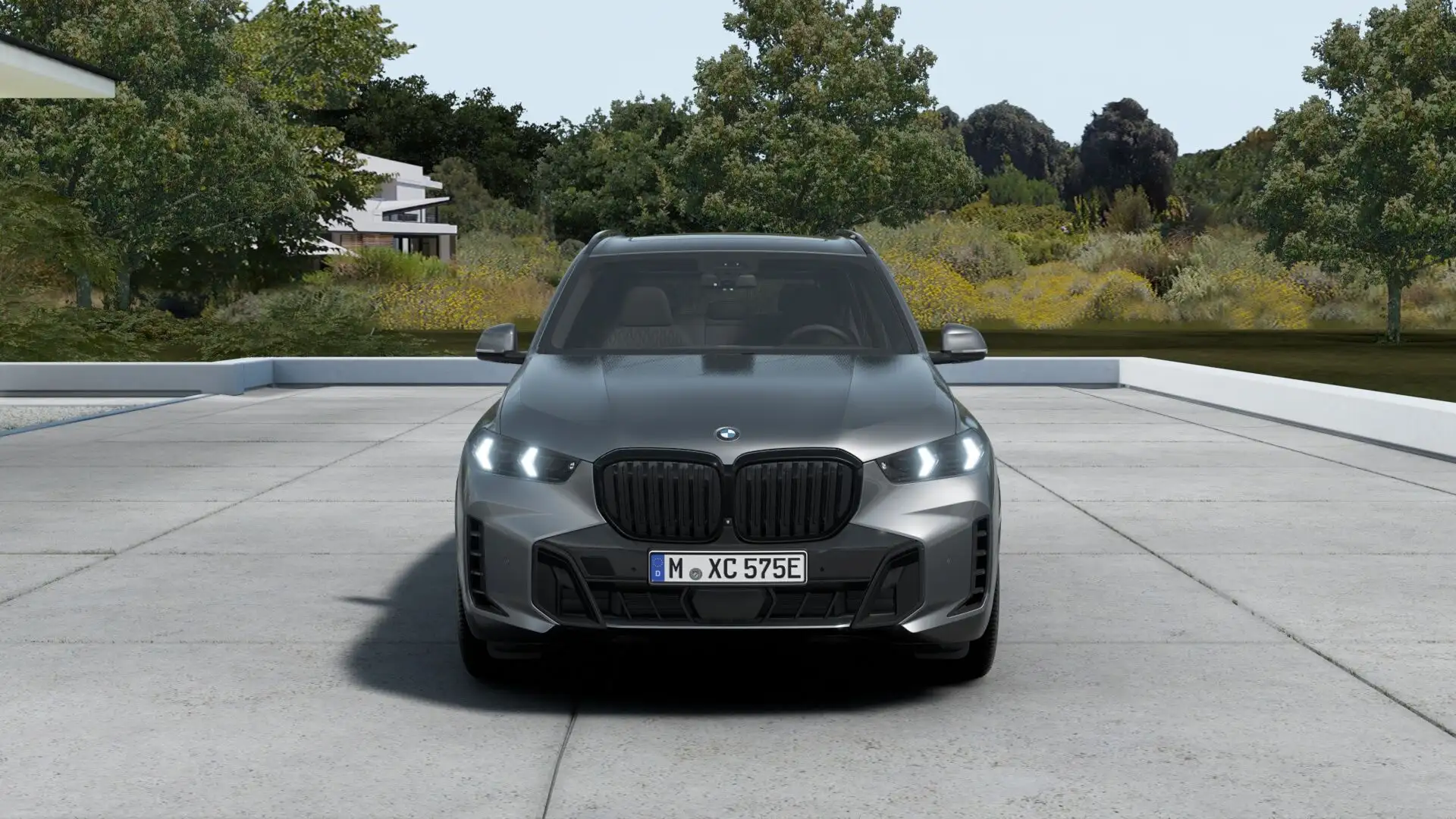 BMW X5 xDrive50e Gris - 1