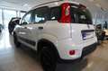 Fiat Panda TwinAir 85 4x4 Wild Klima/PDC Weiß - thumbnail 4