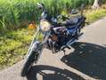 Honda CB 650 Cb650sc Blauw - thumbnail 6