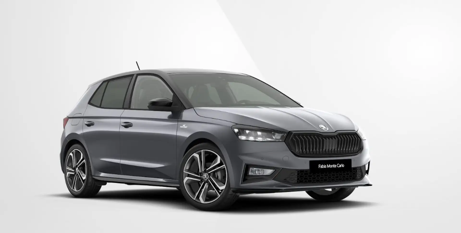 Skoda Fabia 1.0 TSI Monte Carlo / Demonstratievoertuig Grijs - 1