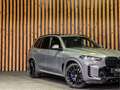 BMW X5 xDrive50e 490PK High Executive M-Sport | SKYLOUNGE Gris - thumbnail 30