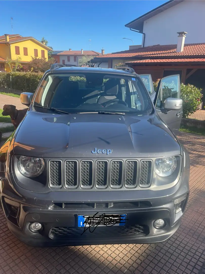 Jeep Renegade Renegade 2019 1.6 mjt S 2wd 130cv Grigio - 1