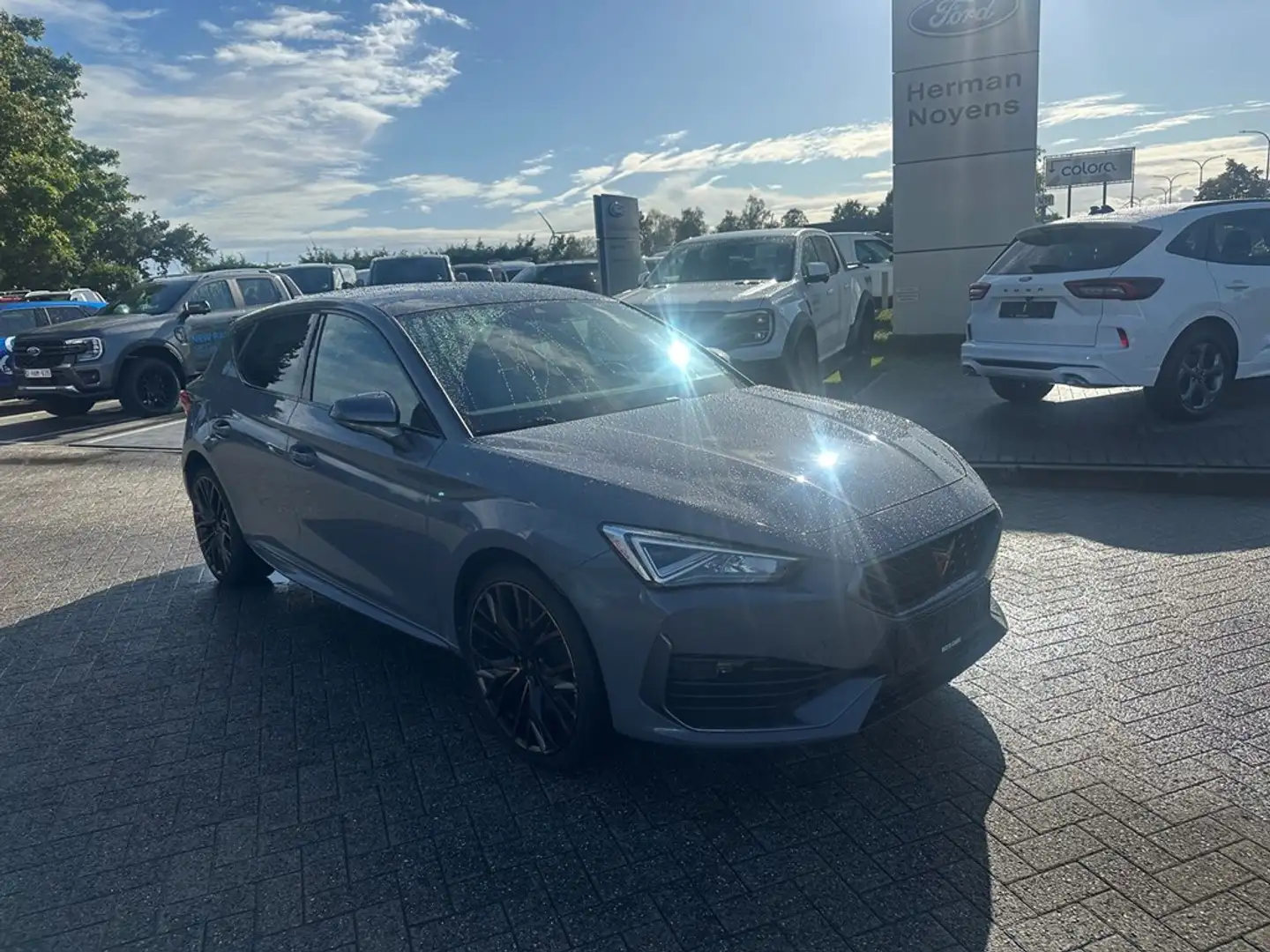 CUPRA Leon Enkel voor professionele Verkoop Gris - 2