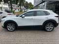 Mazda CX-30 140PS 6AG Centre-line+Driver Assist Paket Weiß - thumbnail 3