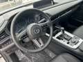 Mazda CX-30 140PS 6AG Centre-line+Driver Assist Paket Weiß - thumbnail 14
