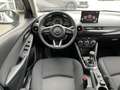 Mazda 2 Benzin Homura LED-Licht Kamera Lenkradheizung Wit - thumbnail 13