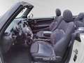 MINI Cooper Cabrio FACELIFT+LED+NAVI+HARMAN&KARDON Alb - thumbnail 10