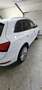 Audi Q5 Q5 3.0 TDI (clean diesel) quattro S tronic - thumbnail 1