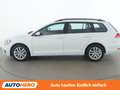 Volkswagen Golf 1.6 TDI Comfortline BlueMotion Tech Weiß - thumbnail 3