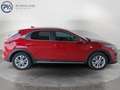 Kia Ceed / cee'd Kia XCeed Silber Rot - thumbnail 6